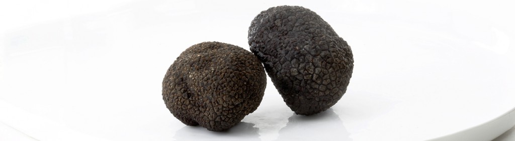 Truffes